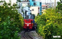 Biến đường sắt thành đường hoa dài nhất Việt Nam