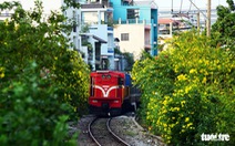 Mơ 3.100km đường tàu thành  đường hoa dài nhất Việt Nam