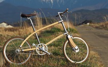 Xe đạp khung gỗ không cần giảm xóc vẫn đi mượt mà