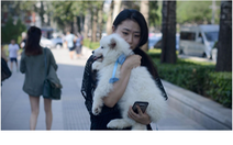 Doanh nghiệp Nhật Bản tìm kiếm cơ hội tại thị trường thú cưng Trung Quốc