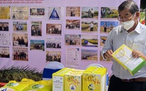 Giống lúa thơm ST25 được lưu hành tại các tỉnh Tây Nguyên