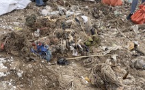 Rác thải chất đống tại cửa biển Nam Định