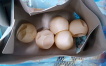 Hành khách mang về 5 vật hình tròn, nghi trứng vích từ Côn Đảo