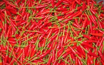Hàn Quốc không cấm nhập khẩu ớt từ Việt Nam, chỉ thu hồi sản phẩm vi phạm