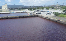 Nhật Bản: nước biển chuyển đỏ do rò rỉ chất phụ gia từ nhà máy