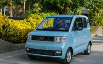 Doanh nghiệp Thái Bình bắt tay công ty Đức sản xuất ô tô điện mini tại Việt Nam