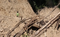 Quảng Ngãi 'hỏa tốc' làm rõ vụ phá rừng làm đường công vụ