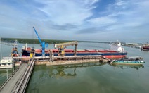 Hai tàu biển va chạm làm sập cầu cảng ở sông Thị Vải