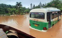 Phố núi Sơn La ngập sâu sau mưa lớn, lũ ở huyện cuốn trôi trâu