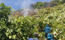 150 người căng mình chữa cháy rừng Hải Vân
