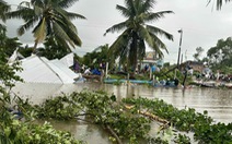 Kiên Giang: 194 nhà sập, tốc mái và 5.000ha lúa thiệt hại do mưa dông