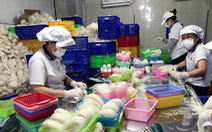 Doanh nghiệp chế biến bánh phở, hủ tiếu, bún... kêu lỗ lớn vì giá gạo tăng