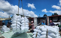 Vì sao giá lúa gạo tăng nhưng gạo xuất qua cảng Mỹ Thới giảm mạnh?