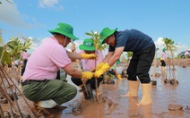 C.P. Việt Nam khởi động dự án trồng cây bảo vệ đa dạng sinh học trang trại nuôi tôm