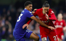 Lịch trực tiếp bóng đá châu Âu 13-8: Chelsea gặp Liverpool