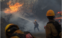 Bang California ứng dụng AI để phát hiện cháy rừng