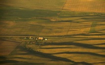 Điều tra của NBC: Trung Quốc có thật sự mua nhiều đất nông nghiệp Mỹ?