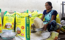 Reuters: nửa triệu tấn gạo đã bị hoãn xuất khẩu vì Ấn Độ áp thuế