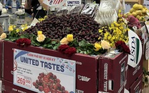 Cherry Mỹ 'đổ bộ' siêu thị, giá còn 270.000 đồng/kg