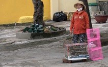 Chim phóng sinh bày bán trước nhiều cổng chùa ở Vũng Tàu