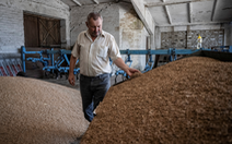 Ba nước EU gia hạn lệnh cấm ngũ cốc, tổng thống Ukraine phản đối