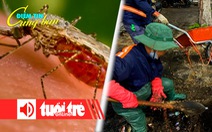 Điểm tin 8h: Người Bạc Liêu khổ vì muỗi; Cả chục ký bao ni lông dưới cửa thu nước ở Đà Nẵng