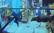 Đám đông chạy nháo nhào khi bò lao vào tiệm cắt tóc