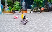 Cả nhà thay nhau 'vồ ếch' vì sân lát gạch hoa