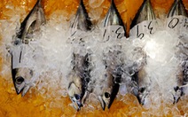 Nhật khiếu nại Trung Quốc lên WTO về lệnh cấm hải sản