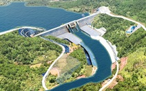 Vì sao Bình Thuận quyết tâm làm hồ chứa nước khi diện tích rừng tự nhiên đang thu hẹp?