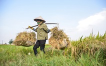 Tin tức sáng 13-1: Nhiều tỉnh đề nghị cấp gạo cứu đói giáp hạt; Giá thuê mặt bằng 'đất vàng' tăng