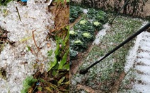 Xuất hiện mưa đá ở Lai Châu, vùng núi Bắc Bộ hôm nay mưa to