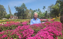Nhà vườn hoa Tết miền Tây: Sa Đéc trúng mùa, An Giang ngóng lái