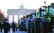 EU và những nông dân bất trị