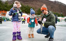 Lễ hội câu cá sông băng Hàn Quốc năm nay có cá hồi nuôi bằng nhân sâm