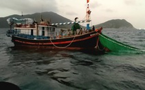 Khánh Hòa phạt 2 thuyền trưởng 350 triệu vì đánh bắt trong khu bảo tồn biển