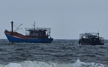 Đấu giá 5 tàu ma tiền tỉ trôi dạt vào bờ biển Quảng Trị