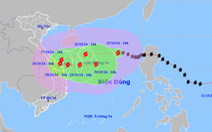 Bão Trà Mi phức tạp, phải chuẩn bị phương án ứng phó cao nhất