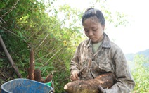 Bố không thừa nhận, mẹ thì lấy chồng xa, Cháng Thị Hương quyết 'thoát lời nguyền'