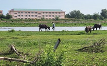 Vì sao trung tâm thương mại huyện ‘quy hoạch treo’ suốt 7 năm?