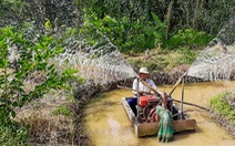 Sông Hậu, sông Cổ Chiên chuẩn bị đón đợt xâm nhập mặn