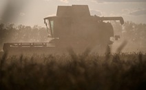 Nga chuyển xong 200.000 tấn ngũ cốc miễn phí cho châu Phi