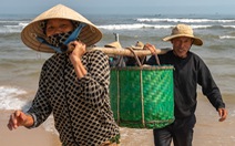 Ngư dân bãi ngang Quảng Trị được mùa ruốc