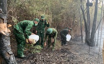 Khoảng 1ha rừng tràm ở rìa Vườn quốc gia Phú Quốc cháy hơn 4 giờ