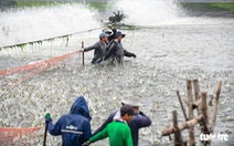 Ngành thủy sản chưa hết khó, Bộ Nông nghiệp làm gì để đủ nguyên liệu cho chế biến, xuất khẩu?