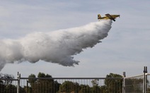 Nguy cơ cháy rừng lan rộng, Úc giục 30.000 người sơ tán ngày 28-2