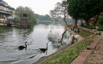 Xây 5 quảng trường Xuân, Hạ, Thu, Đông quanh hồ Thiền Quang, chuyên gia nói phải thận trọng