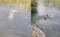 Chú chó xả thân nhảy xuống sông cứu chủ đuối nước