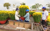 Chở thuê mùa xuân, người lao động nghèo đất biển Kiên Giang có tiền ăn Tết