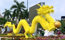 Công nhân canh giữ cặp rồng vàng Quảng Nam giữa rừng hoa Tết